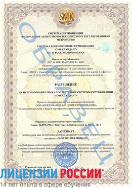 Образец разрешение Чамзинка Сертификат ISO 50001